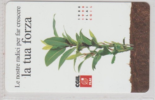 Golden 847 nuova - l,